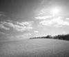 Grayscale